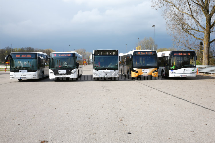 IBC Testbusse - modellbus.info